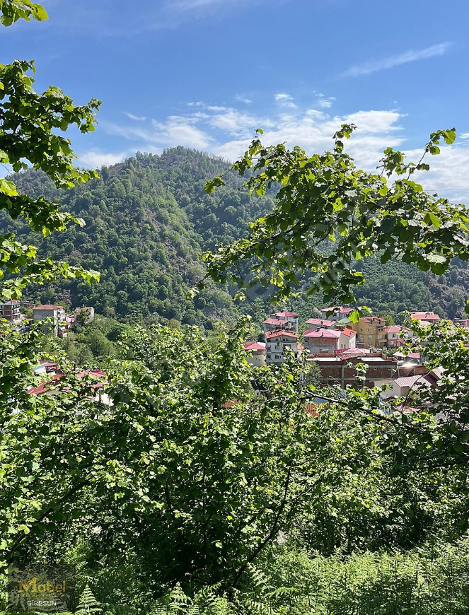 HİSARÜSTÜ KÖY MERKEZİ YOLU CEPHELİ BAHÇE